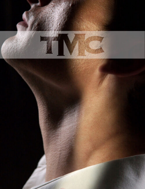 straight VIP male escort michael antwerpen