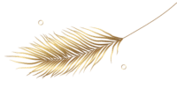 deco-blad-rechts-goud-200×100