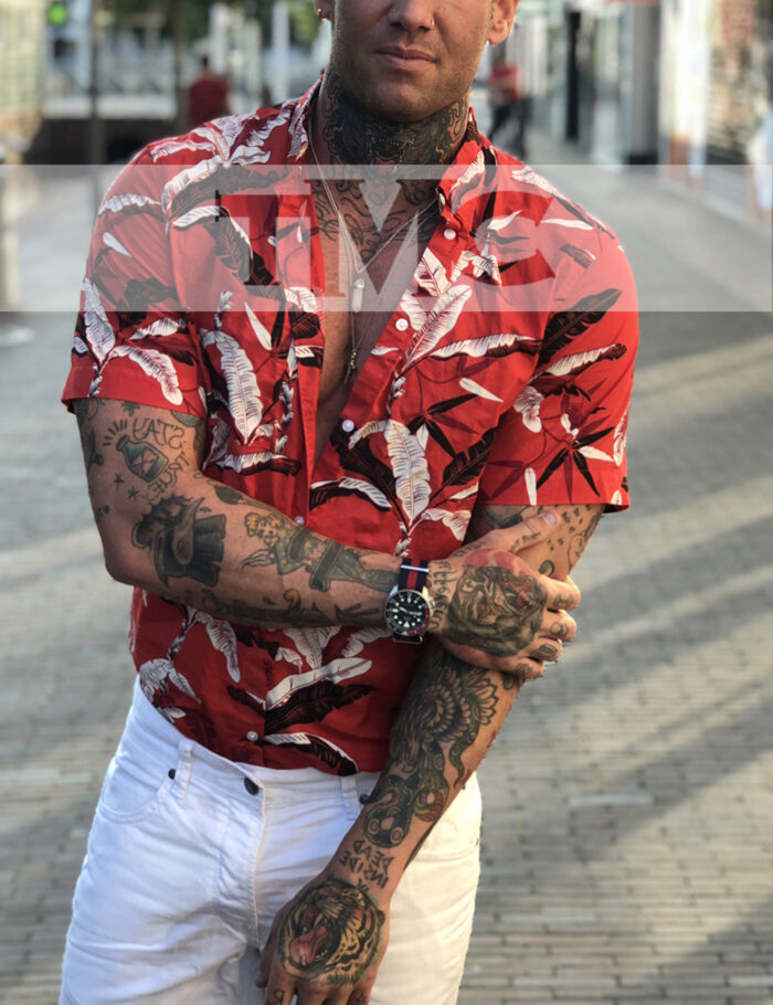 cool male escort rafael amsterdam